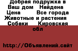 Добрая подружка,в Ваш дом!!!Найдена › Цена ­ 10 - Все города Животные и растения » Собаки   . Кировская обл.